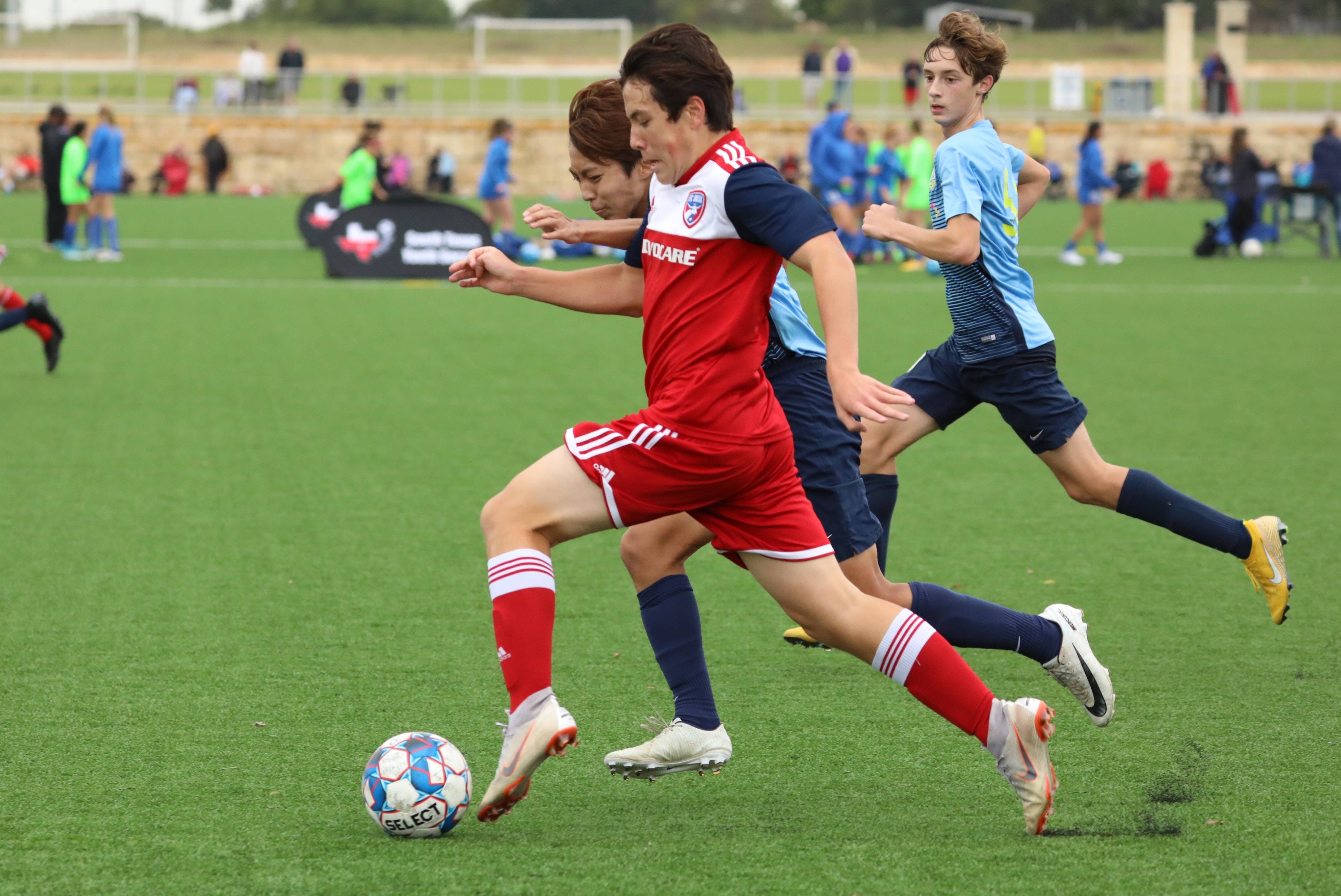 念需要与红 念需要与红