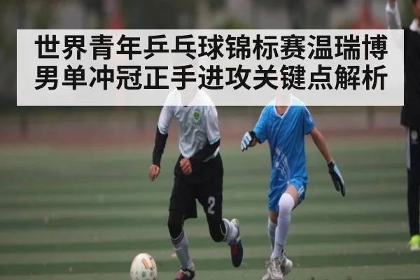 世界青年乒乓球锦标赛温瑞博男单冲冠正手进攻关键点解析 - MKSPORT
